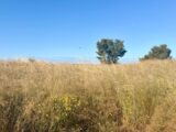 Terrain à bâtir à Martigues (13500) 2549324-3263annonce220260615exKU9.jpeg Azur & Constructions
