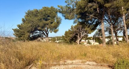 Martigues Terrain à bâtir - 2549324-3263annonce320260615TZBJv.jpeg Azur & Constructions