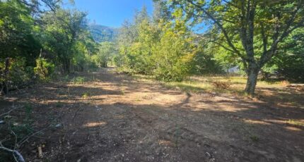 Plan-d'Aups-Sainte-Baume Maison neuve - 2587822-10197annonce520260722kkLpz.jpeg Azur & Constructions
