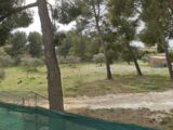 Terrain à bâtir à Saint-Chamas (13250) 2612443-3643annonce32025012073rA8.jpeg Azur & Constructions