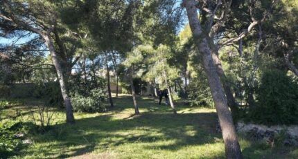 Sausset-les-Pins Terrain à bâtir - 2612598-3263annonce220251203Cv9A4.jpeg Azur & Constructions