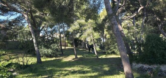 Terrain à bâtir à , Bouches-du-Rhône