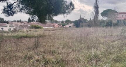 Pélissanne Maison neuve - 2612449-3263annonce520250106yhqoT.jpeg Azur & Constructions