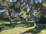 Maison à construire à Sausset-les-Pins (13960) 2612599-3263annonce220251203Cv9A4.jpeg Azur & Constructions