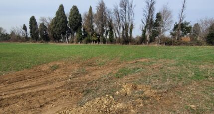 Saint-Martin-de-Crau Maison neuve - 2612447-3263annonce220250911Nthsg.jpeg Azur & Constructions