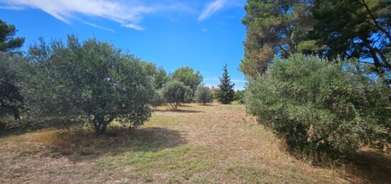 Terrain à bâtir à Saint-Chamas, Provence-Alpes-Côte d'Azur