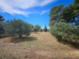 Maison à construire à Saint-Chamas (13250) 2589861-10197annonce120260724q1rf6.jpeg Azur & Constructions
