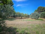 Maison à construire à Saint-Chamas (13250) 2589861-10197annonce2202607242n0ld.jpeg Azur & Constructions
