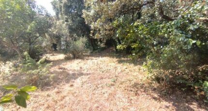 Pélissanne Terrain à bâtir - 2643349-3263annonce320260127ZAPGa.jpeg Azur & Constructions