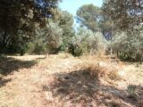 Maison à construire à Pélissanne (13330) 2643350-3263annonce120260127vnWcA.jpeg Azur & Constructions