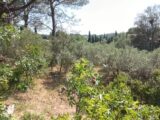 Maison à construire à Pélissanne (13330) 2643350-3263annonce220260127rpLvu.jpeg Azur & Constructions