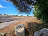 Maison à construire à Fos-sur-Mer (13270) 2645805-10197annonce2202509088GKyf.jpeg Azur & Constructions