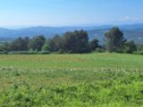 Terrain à bâtir à Montfuron (04110) 2575184-3643annonce120260706wty7N.jpeg Azur & Constructions