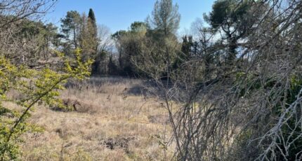 Cadenet Terrain à bâtir - 2621946-3263annonce120260123wTn0T.jpeg Azur & Constructions