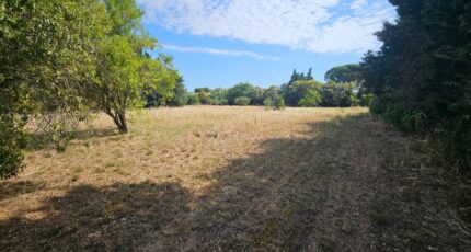 Fontvieille Terrain à bâtir - 2583254-10197annonce1202607160SyWE.jpeg Azur & Constructions