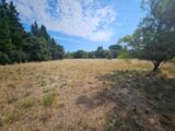 Terrain à bâtir à Fontvieille (13990) 2583254-10197annonce220260716qPg03.jpeg Azur & Constructions
