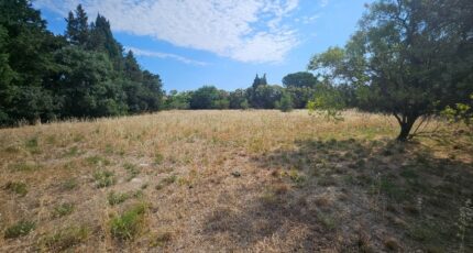 Fontvieille Terrain à bâtir - 2583258-10197annonce2202607167lMQV.jpeg Azur & Constructions