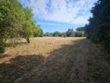Maison à construire à Fontvieille (13990) 2583255-10197annonce1202607160SyWE.jpeg Azur & Constructions