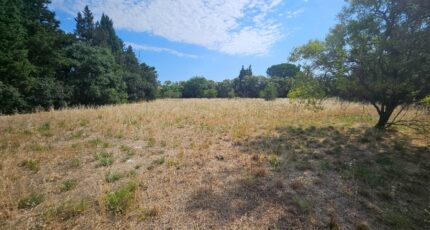 Fontvieille Maison neuve - 2583255-10197annonce220260716qPg03.jpeg Azur & Constructions