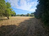 Maison à construire à Fontvieille (13990) 2583255-10197annonce320260716rrgGD.jpeg Azur & Constructions