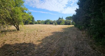 Fontvieille Maison neuve - 2583255-10197annonce320260716rrgGD.jpeg Azur & Constructions